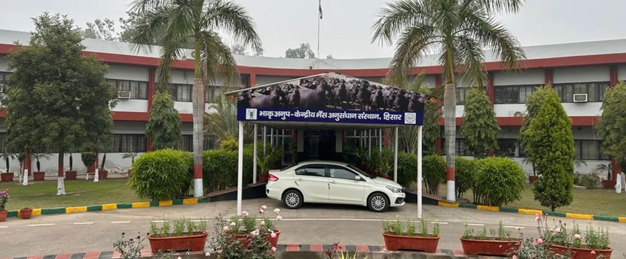 ICAR-Central Institute for Research on Buffaloes