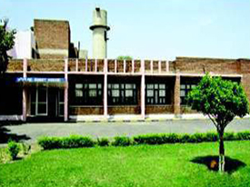 CIRB Hisar Guest House