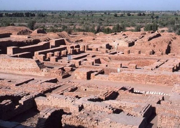 CIRB Hisar